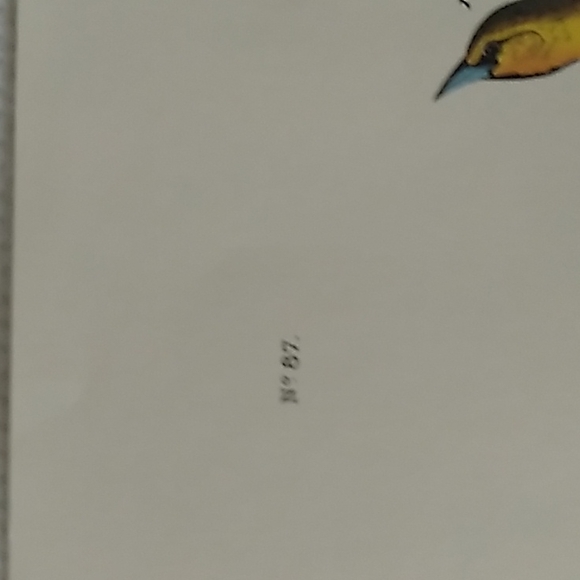 Bird print from the milwaukee public library. - Picture 5 of 8